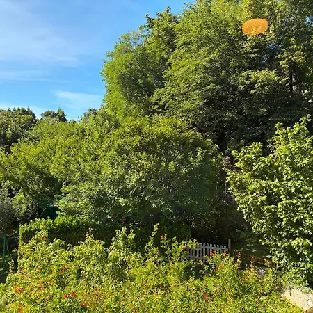 Viandantelakehouse - View Appartement *